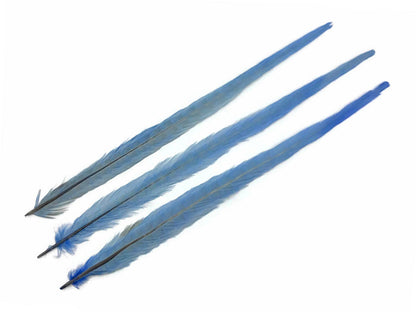 50 pieces - 18-22" Light Blue Bleached Dyed Ringneck Accent Feathers for Wedding Backdrops & Arches