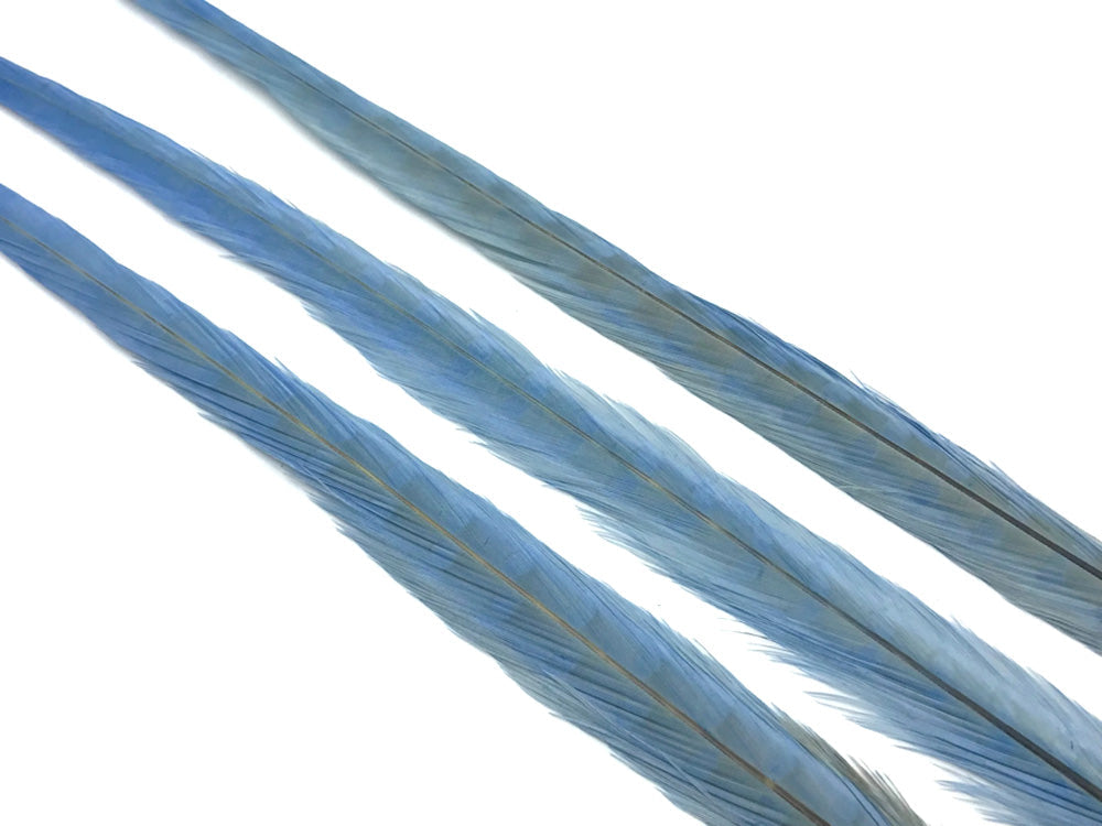 50 pieces - 18-22" Light Blue Bleached Dyed Ringneck Accent Feathers for Wedding Backdrops & Arches
