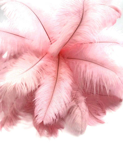 1/2 Lb. - 9-13" Baby Pink Dyed Ostrich Body Drab Wholesale Feathers (Bulk)