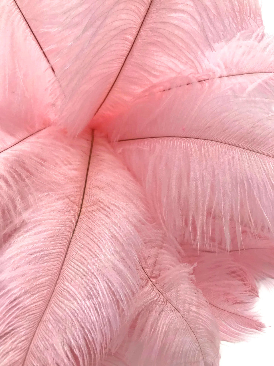 1/2 Lb. - 9-13" Baby Pink Dyed Ostrich Body Drab Wholesale Feathers (Bulk)