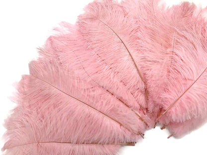1/2 Lb. - 9-13" Baby Pink Dyed Ostrich Body Drab Wholesale Feathers (Bulk)