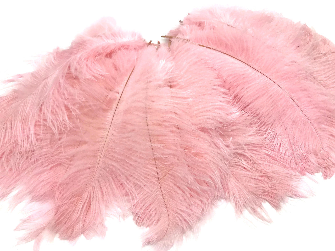 1/2 Lb. - 9-13" Baby Pink Dyed Ostrich Body Drab Wholesale Feathers (Bulk)