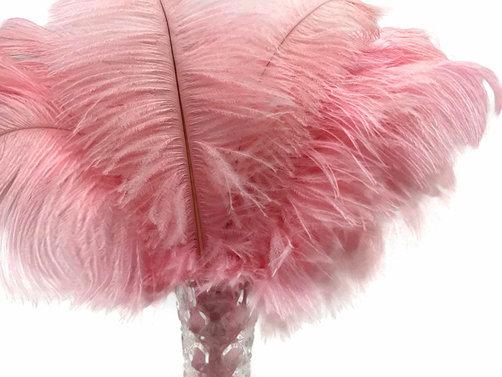 1/2 Lb. - 9-13" Baby Pink Dyed Ostrich Body Drab Wholesale Feathers (Bulk)