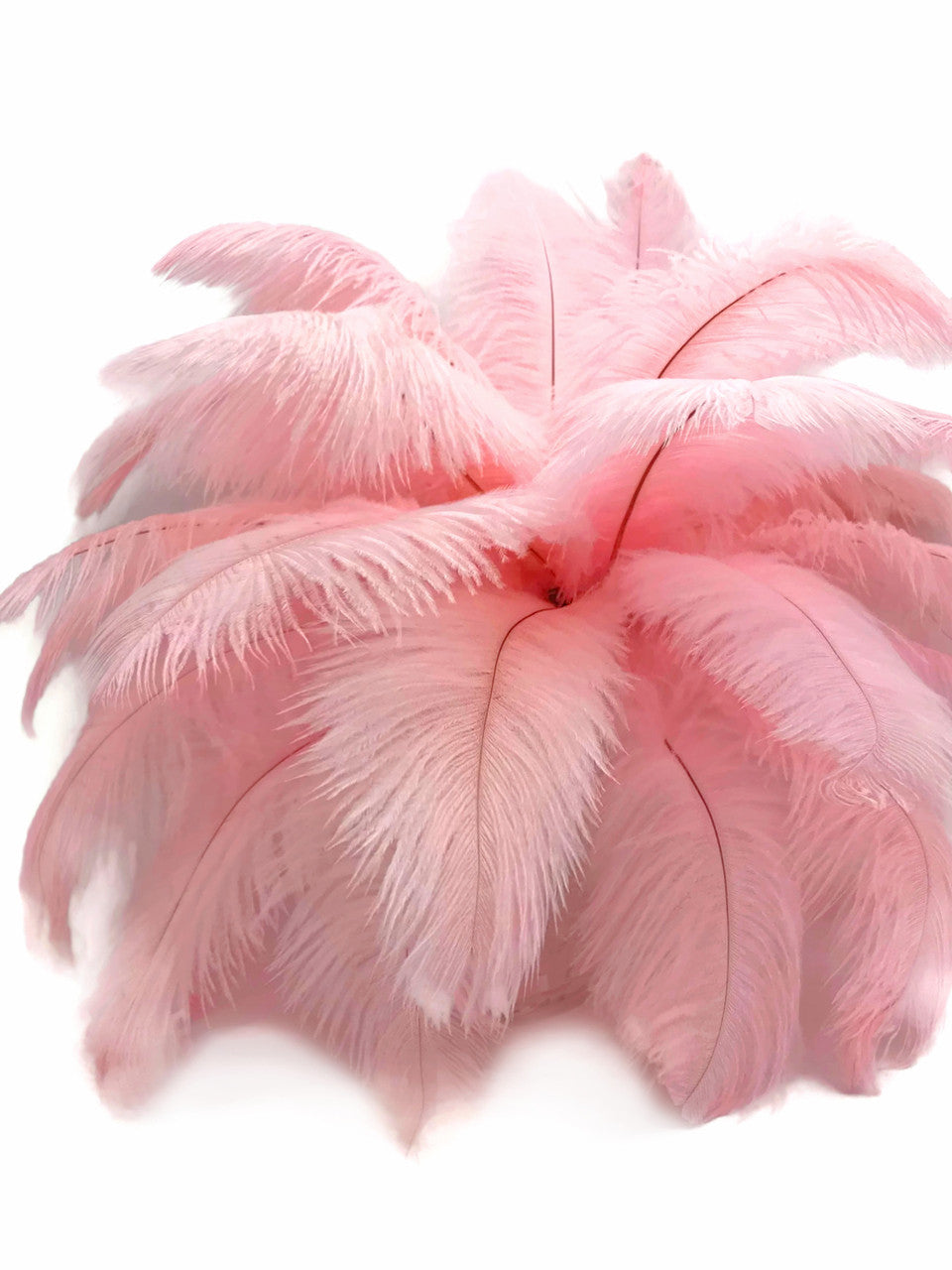 1/2 Lb. - 9-13" Baby Pink Dyed Ostrich Body Drab Wholesale Feathers (Bulk)