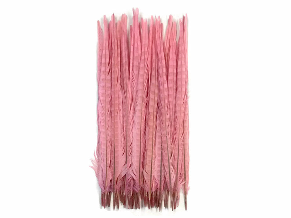 10 pieces - 18-22" Pink Light Bleached Dyed Accent Feathers for Wedding Centerpieces