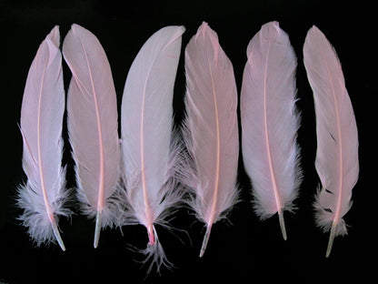 A quarter pound - Baby Pink Satinettes Pallet Soft Accent Feathers for Wedding Backdrops & Arches