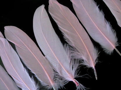 A quarter pound - Baby Pink Satinettes Pallet Soft Accent Feathers for Wedding Backdrops & Arches