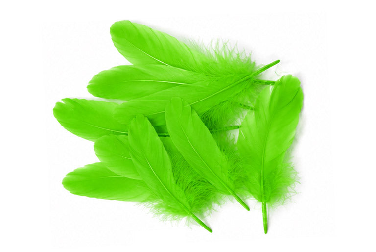3 oz - Green Pack Lime Satinettes Accent Feathers for Wedding Bouquets & Boutonnieres
