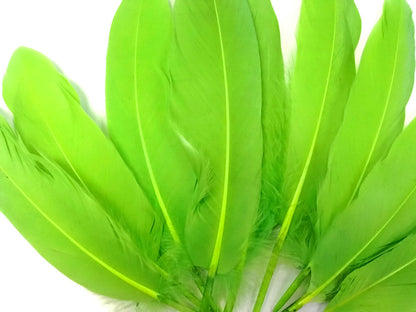 A quarter pound - Green Lime Satinettes Pallet Accent Feathers for Wedding Backdrops & Arches