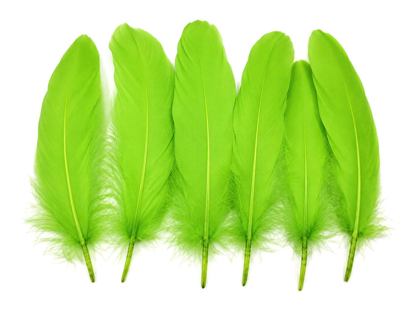 A quarter pound - Green Lime Satinettes Pallet Accent Feathers for Wedding Backdrops & Arches