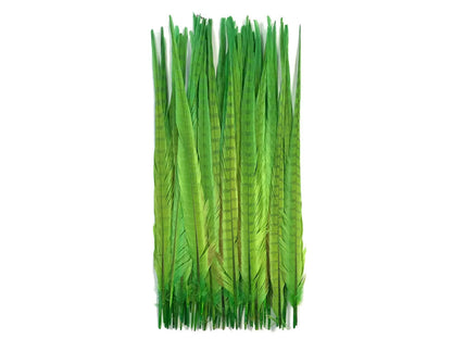 10 pieces - 18-22" Green Lime Bleached Dyed Accent Feathers for Wedding Centerpieces