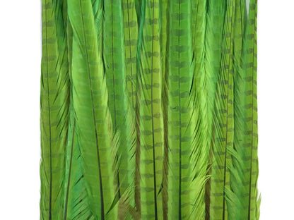 10 pieces - 18-22" Green Lime Bleached Dyed Accent Feathers for Wedding Centerpieces