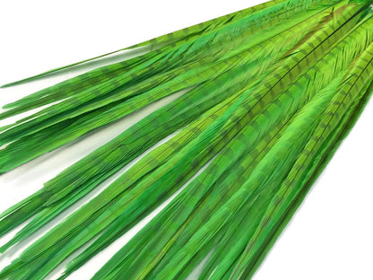 10 pieces - 18-22" Green Lime Bleached Dyed Accent Feathers for Wedding Centerpieces