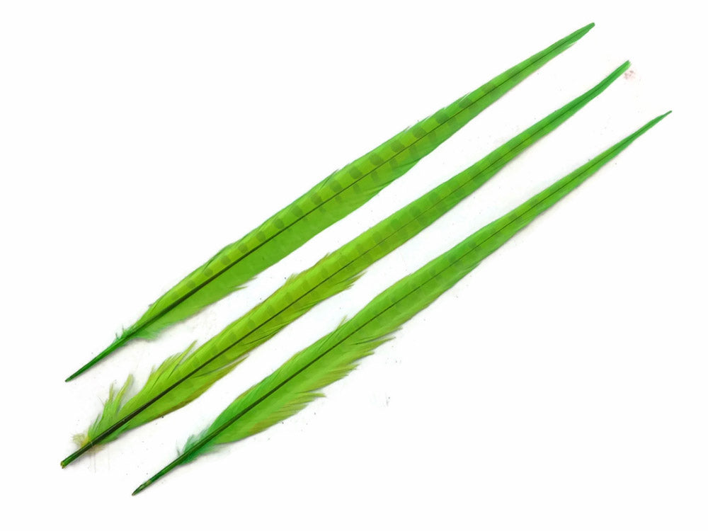 50 pieces - 18-22" Green Lime Bleached Dyed Accent Feathers for Wedding Backdrops & Arches