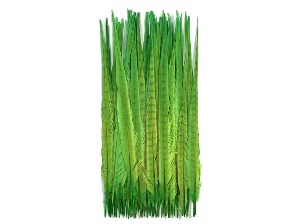 50 pieces - 18-22" Green Lime Bleached Dyed Accent Feathers for Wedding Backdrops & Arches