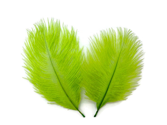 1 Pack - Lime Green Ostrich Small Confetti Feathers 0.3 Oz