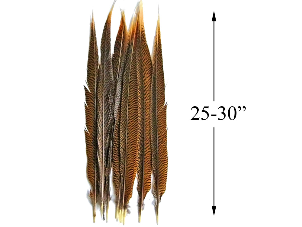 50 pieces - 25-30" Natural Golden Tail Accent Feathers for Wedding Backdrops & Arches