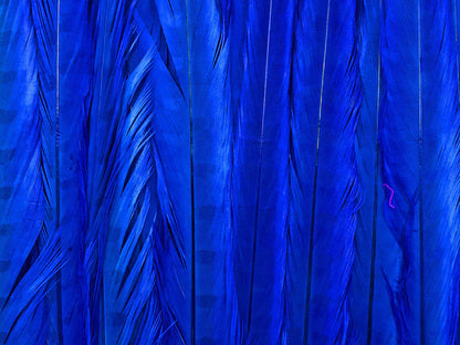 50 pieces - 18-22" Blue Midnight Bleached Dyed Accent Feathers for Wedding Backdrops & Arches