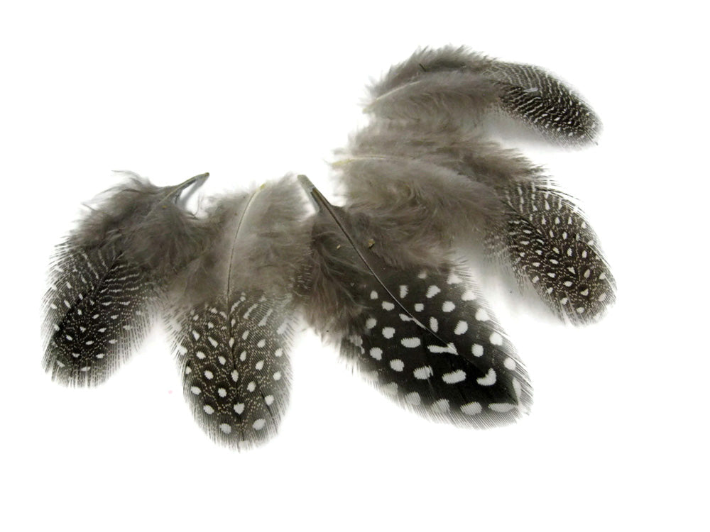 10 oz - Natural Pack Black White Accent Feathers for Wedding Centerpieces