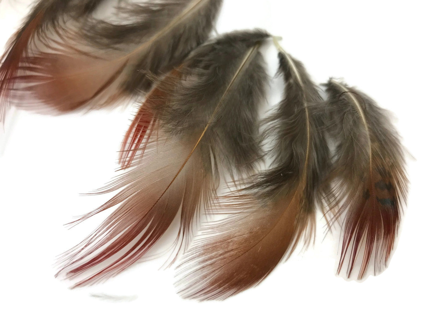 10 oz - Natural Pack Red Golden Accent Feathers for Wedding Bouquets & Boutonnieres