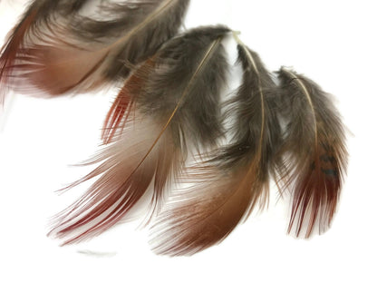 10 oz - Natural Pack Red Golden Accent Feathers for Wedding Bouquets & Boutonnieres