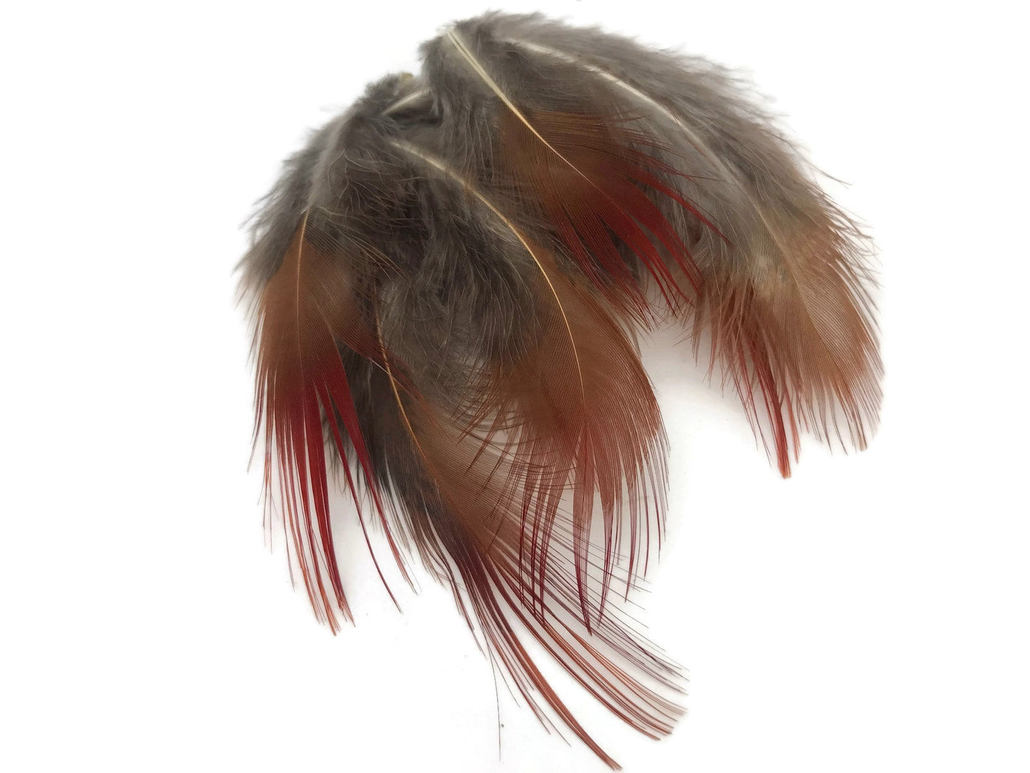 10 oz - Natural Pack Red Golden Accent Feathers for Wedding Bouquets & Boutonnieres