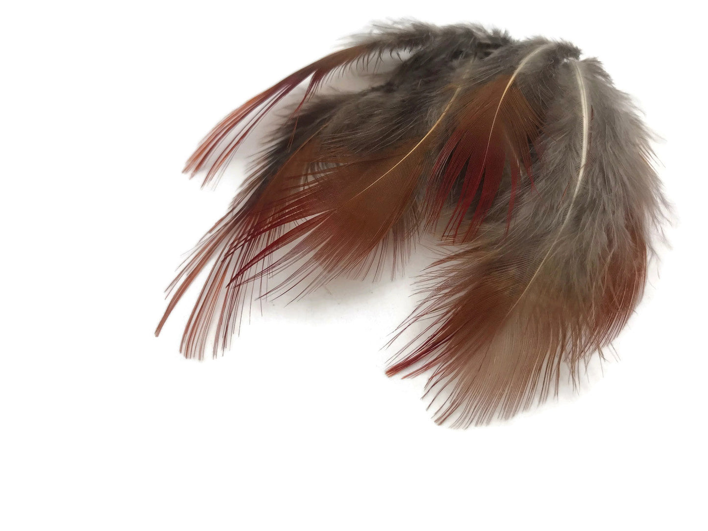 10 oz - Natural Pack Red Golden Accent Feathers for Wedding Bouquets & Boutonnieres