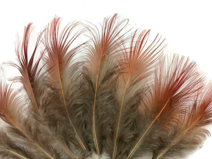10 oz - Natural Pack Red Golden Accent Feathers for Wedding Bouquets & Boutonnieres