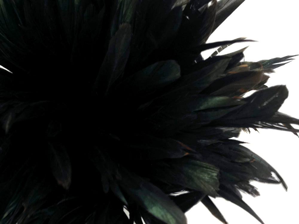2 yards - 8-10" Natural Black Half Bronze Accent Feathers for Wedding Backdrops & Arches