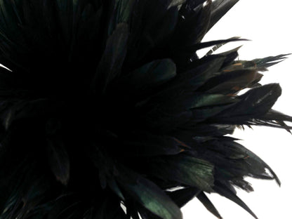 2 yards - 8-10" Natural Black Half Bronze Accent Feathers for Wedding Backdrops & Arches