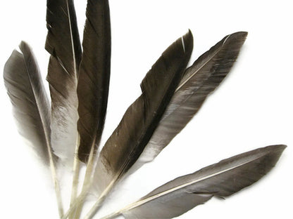 50 oz - Natural Pack Brown Primary Accent Feathers for Wedding Centerpieces