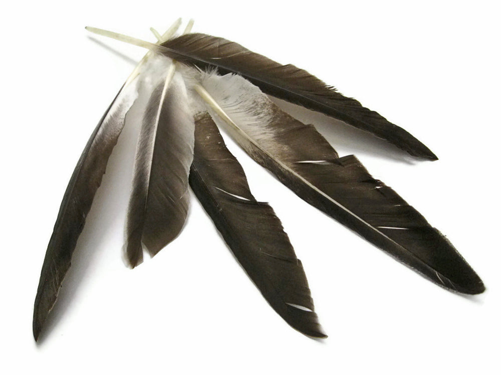 50 oz - Natural Pack Brown Primary Accent Feathers for Wedding Centerpieces