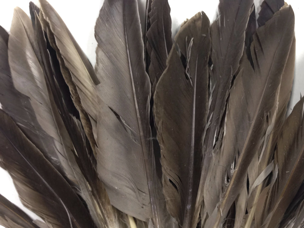 A quarter pound - Natural Brown Pointer Primary Accent Feathers for Wedding Backdrops & Arches