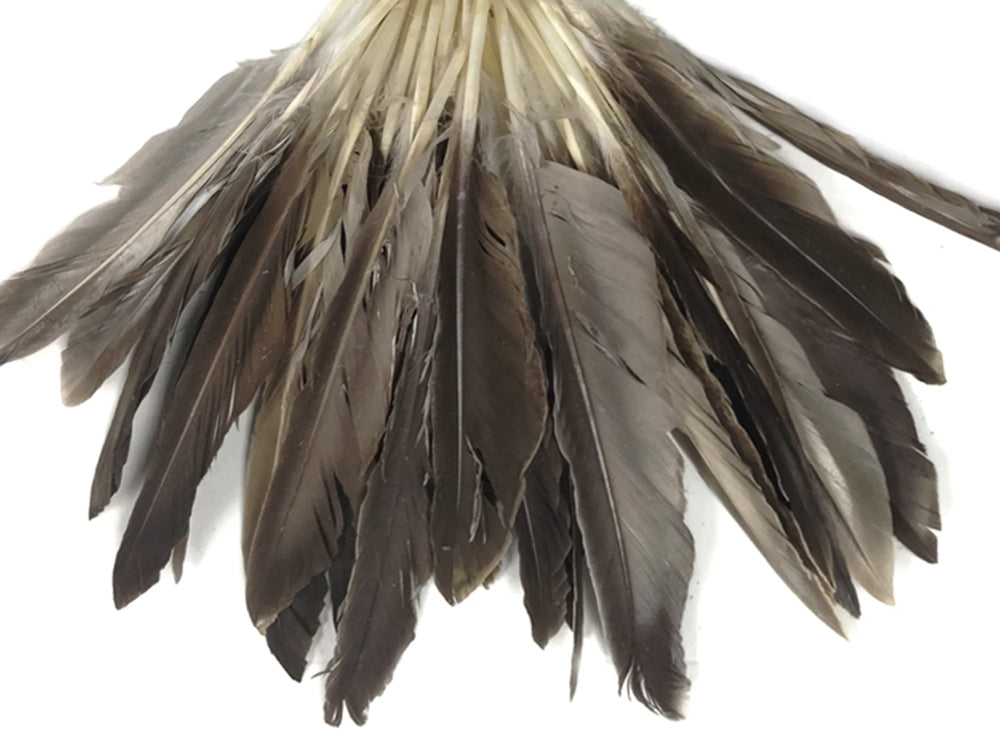50 oz - Natural Pack Brown Primary Accent Feathers for Wedding Centerpieces