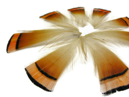 1 dozen - Natural Orange Golden Tippet Accent Feathers for Wedding Centerpieces