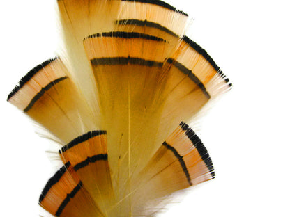1 dozen - Natural Orange Golden Tippet Accent Feathers for Wedding Centerpieces