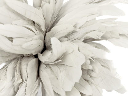 2 yards - 4-6" Natural White Strung Bleach Accent Feathers for Wedding Backdrops & Arches