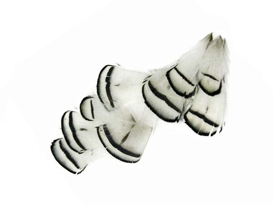 1 dozen - Natural White Lady Amherst Accent Feathers for Wedding Centerpieces