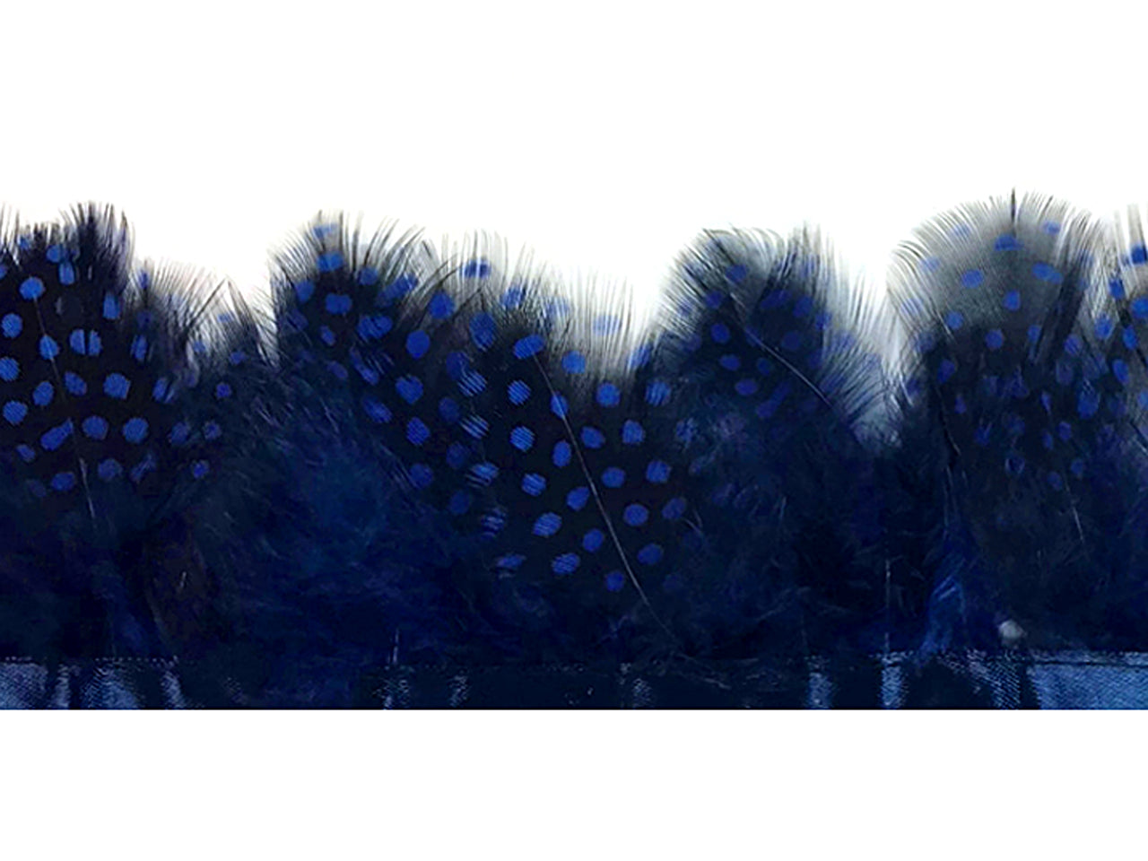1 yard - Navy Blue Hen Polka Accent Feathers for Wedding Backdrops & Arches