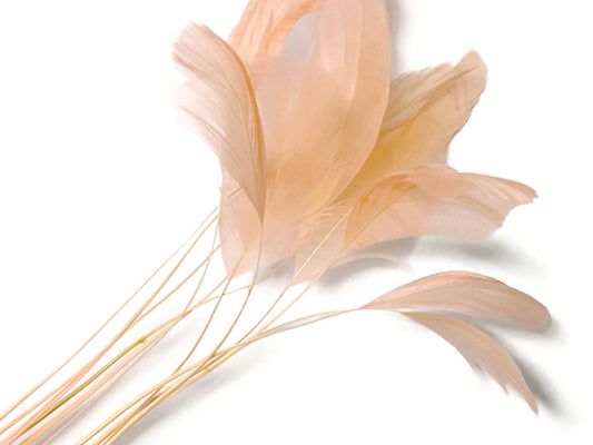 1 dozen - Champagne Stripped Coque Tail Accent Feathers for Wedding Centerpieces