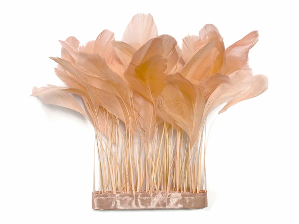 1 yard - Champagne Stripped Tail Trim Accent Feathers for Wedding Backdrops & Arches