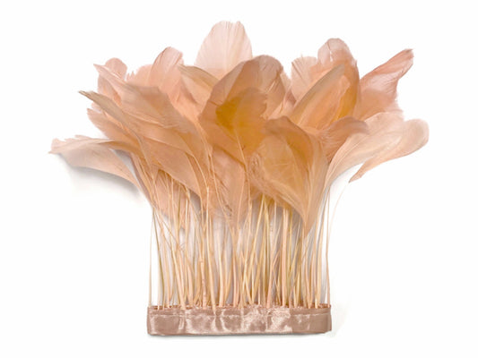 1 yard - Champagne Stripped Tail Trim Accent Feathers for Wedding Backdrops & Arches
