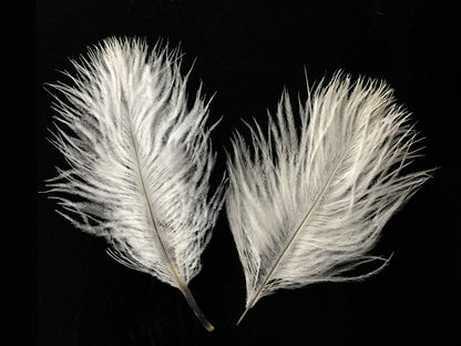 White Pack Off Small Ostrich Feathers for Wedding Backdrops & Arches