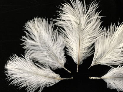 White Pack Off Small Ostrich Feathers for Wedding Backdrops & Arches