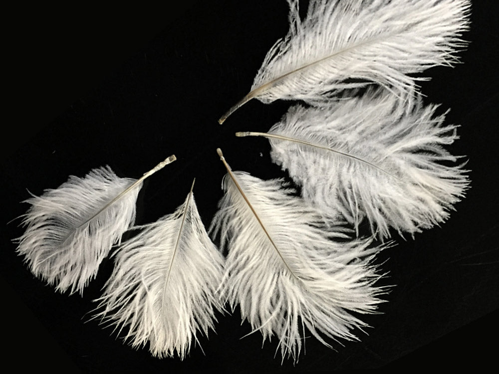 White Pack Off Small Ostrich Feathers for Wedding Backdrops & Arches