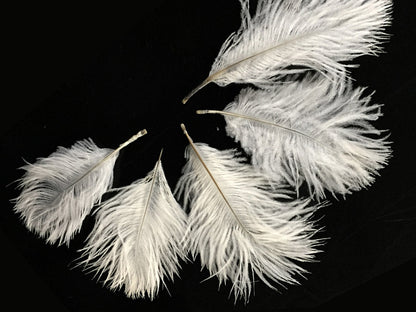 White Pack Off Small Ostrich Feathers for Wedding Backdrops & Arches