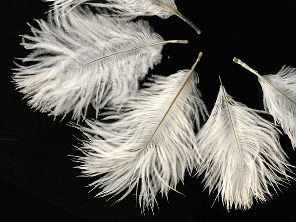 White Pack Off Small Ostrich Feathers for Wedding Backdrops & Arches