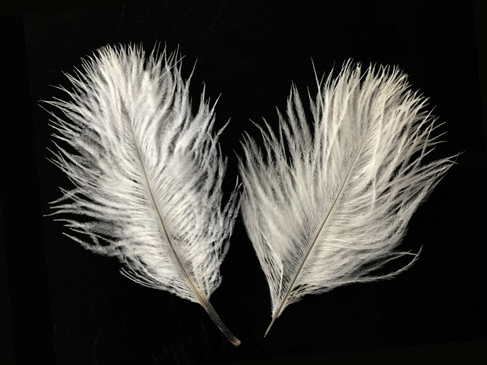 White Pack Off Small Ostrich Feathers for Wedding Backdrops & Arches