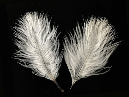 White Pack Off Small Ostrich Feathers for Wedding Backdrops & Arches
