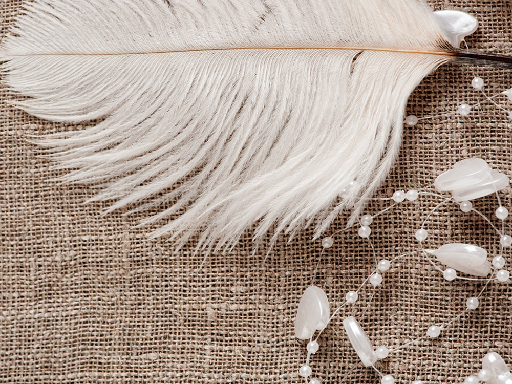 White Pack Off Small Ostrich Feathers for Wedding Backdrops & Arches